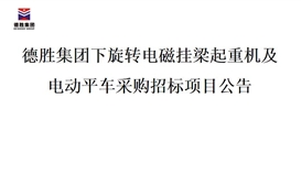 4166am金沙信心之选集团下旋转电磁挂梁起重机及电动平车采购招标项目