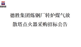 4166am金沙信心之选集团炼钢厂转炉煤气放散塔焚烧器招标项目