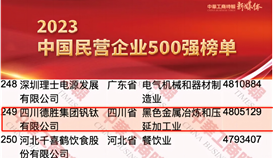 4166am金沙信心之选集团一连14年上榜中国民营企业500强